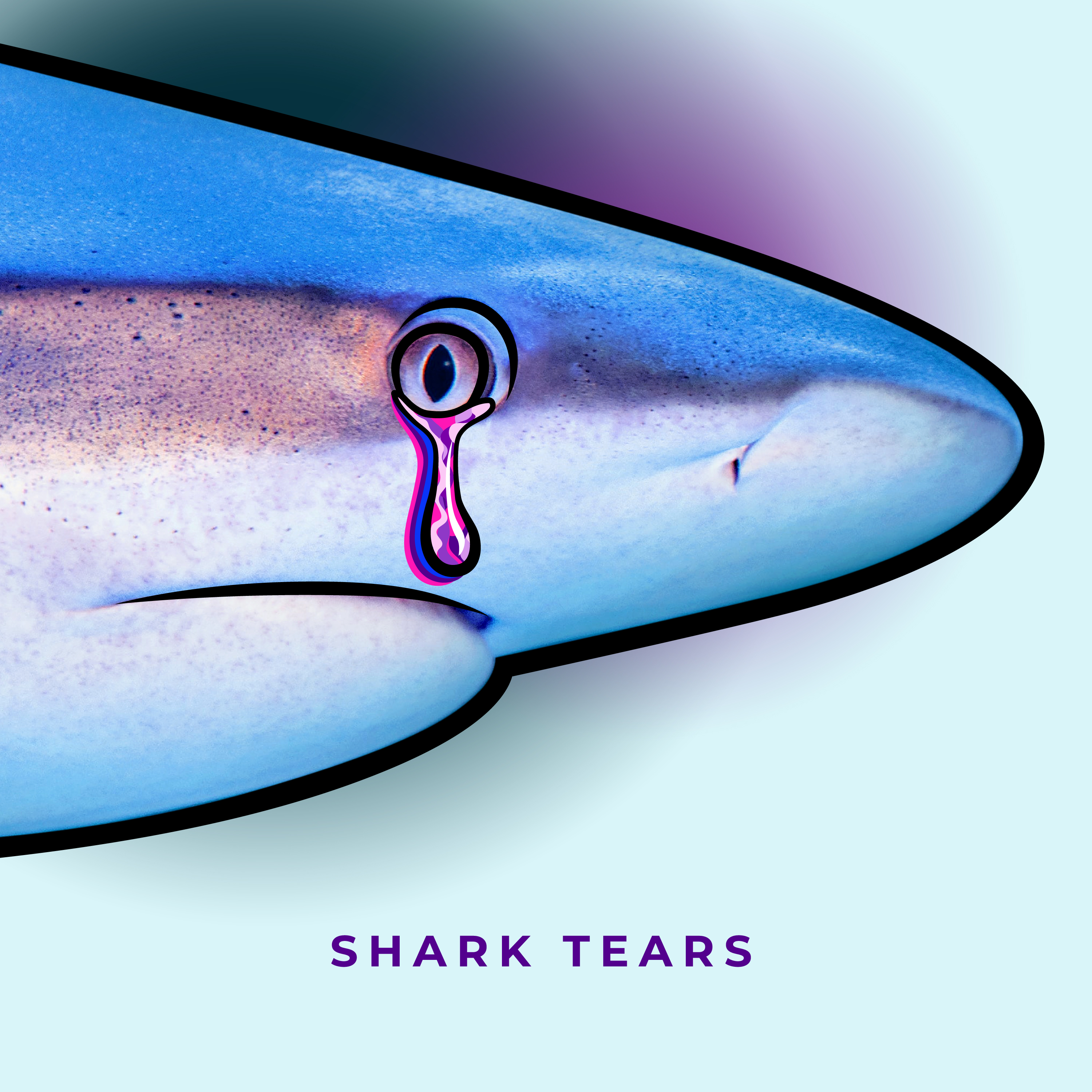 Shark Tears